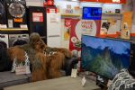 Star Wars in Eccles